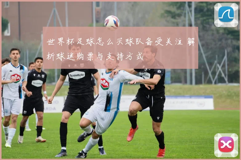 世界杯足球怎么买球队备受关注 解析球迷购票与支持方式