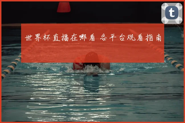 世界杯直播在哪看 各平台观看指南