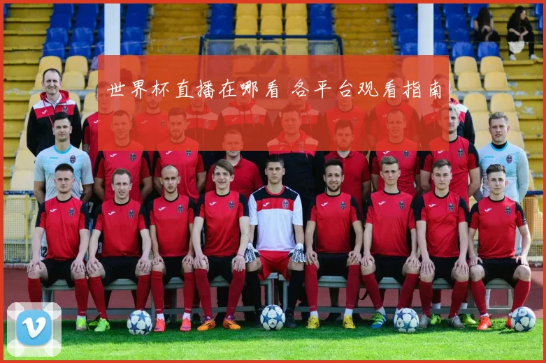 世界杯直播在哪看 各平台观看指南